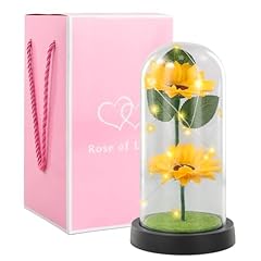 Litinliv tournesol lumineux d'occasion  Livré partout en France