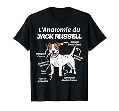 Jack russell cadeau d'occasion Jack russell cadeau d'occasion  Livré partout en France