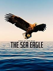 King seas sea for sale  Delivered anywhere in UK