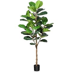 Kazeila kunstpflanze ficus gebraucht kaufen  Wird an jeden Ort in Deutschland