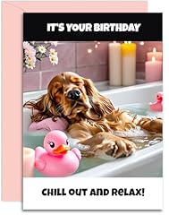 Cocker spaniel birthday for sale  Delivered anywhere in UK