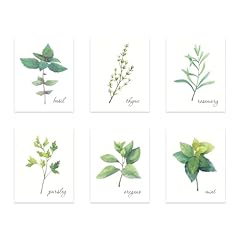 Goods kitchen herb for sale  Delivered anywhere in USA 