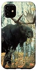Iphone bull moose for sale  Delivered anywhere in USA 