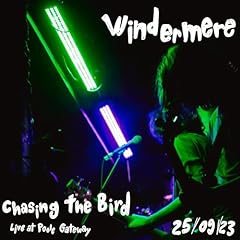 Chasing bird for sale  Delivered anywhere in UK