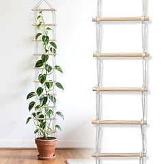 Climbing plant ladder for sale  Delivered anywhere in USA 