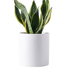 Tagobar plant pots for sale  Delivered anywhere in USA 
