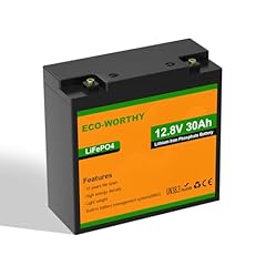 Eco worthy lifepo4 usato  Spedito ovunque in Italia 