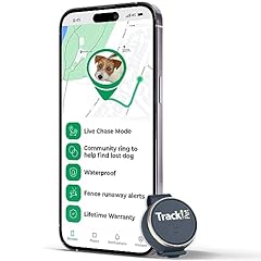 Tracki cat dog for sale  Delivered anywhere in USA 