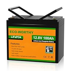 Eco worthy 100ah for sale  Delivered anywhere in UK