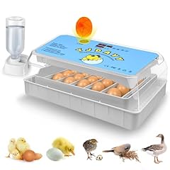 Incubators hatching eggs for sale  Delivered anywhere in USA 