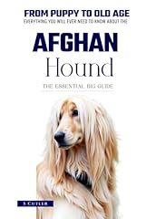 Essential big guide for sale  Delivered anywhere in USA 