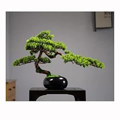 Bonsai artificiale pino usato  Spedito ovunque in Italia 