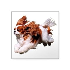 Cafepress cavalier running for sale  Delivered anywhere in UK