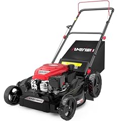 Amerisun gas lawn for sale  Delivered anywhere in USA 
