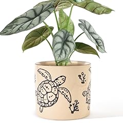 Inch ceramic plant for sale  Delivered anywhere in USA 