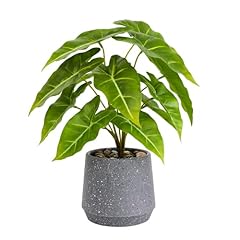 Veryhome artificial plants for sale  Delivered anywhere in UK