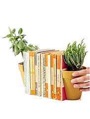Suck indoor plant for sale  Delivered anywhere in UK