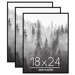 Americanflat 18x24 poster for sale  Delivered anywhere in USA 