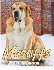 Mastiffs photo book gebraucht kaufen  Wird an jeden Ort in Deutschland