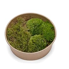 Live moss bundle for sale  Delivered anywhere in UK