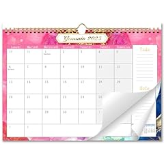 Aeyaka calendario 2025 usato  Spedito ovunque in Italia 