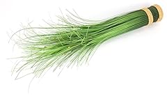 Künstlicher grasbund weißen gebraucht kaufen  Wird an jeden Ort in Deutschland