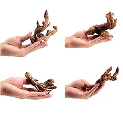 Yzhzom small natural for sale  Delivered anywhere in USA 
