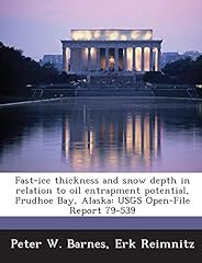 Fast ice thickness usato  Spedito ovunque in Italia 