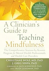 Clinician guide teaching for sale  Delivered anywhere in USA 