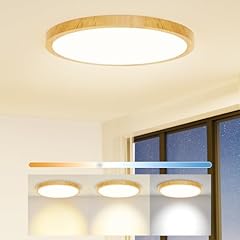 Light fixtures ceiling for sale  Delivered anywhere in USA 