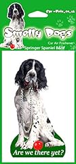 Springer spaniel dog for sale  Delivered anywhere in Ireland