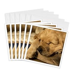 3drose greeting cards for sale  Delivered anywhere in USA 