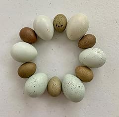 Premium button celadon for sale  Delivered anywhere in USA 
