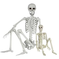 Sifoel lot squelettes d'occasion  Livré partout en France