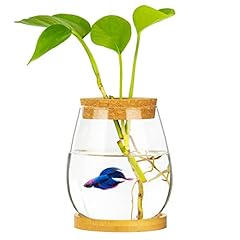 Desktop fish bowl for sale  Delivered anywhere in USA 