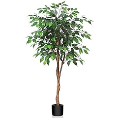 Kazeila kunstpflanze ficus gebraucht kaufen  Wird an jeden Ort in Deutschland