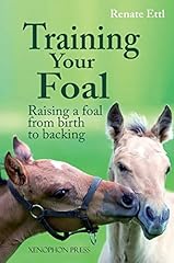 Training foal raising for sale  Delivered anywhere in USA 