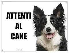 Border collie attenti usato  Spedito ovunque in Italia 