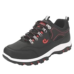 Scarpe antinfortunistiche legg usato  Spedito ovunque in Italia 