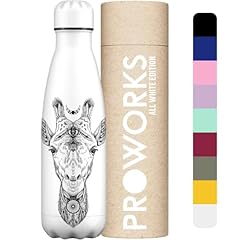 Proworks bouteille eau d'occasion  Livré partout en France