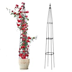 Garden obelisk trellis for sale  Delivered anywhere in USA 