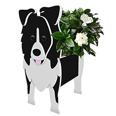 Border collie dog for sale  Delivered anywhere in USA 