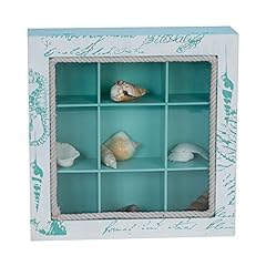 Beachcombers square shell for sale  Delivered anywhere in USA 