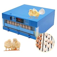 Mnbvh fertile chicken for sale  Delivered anywhere in UK