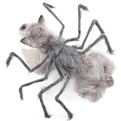 Bear pet halloween for sale  Delivered anywhere in UK