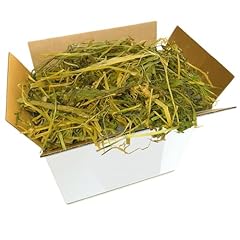 Erba medica 1kg usato  Spedito ovunque in Italia 