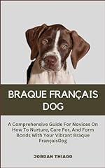 Braque français dog for sale  Delivered anywhere in UK