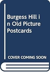 Burgess hill old for sale  Delivered anywhere in UK