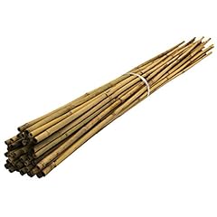 Bamboo canes gardens for sale  Delivered anywhere in Ireland