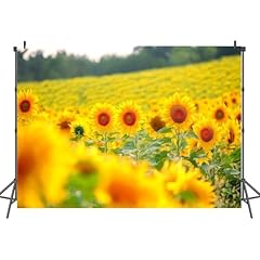 7x5ft sunflower photography for sale  Delivered anywhere in USA 